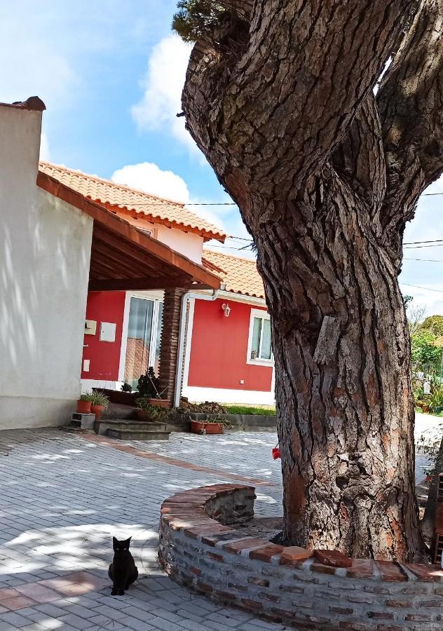 Casa De Campo A 5 Minutos Da Praia Атогия да Балея Екстериор снимка